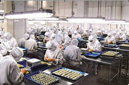 NSF lighting NSF lighting