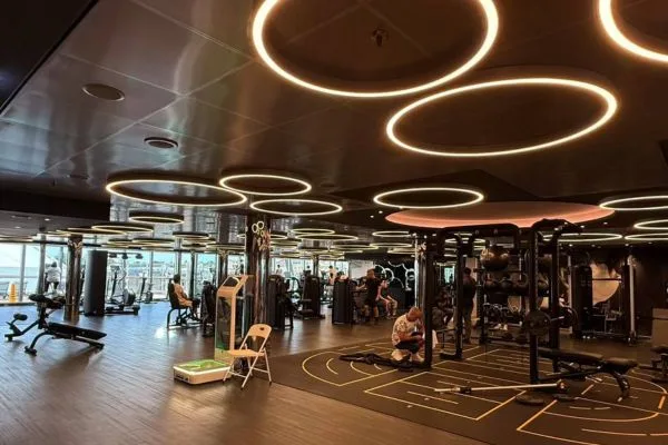 ring suspended application