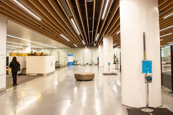 linear suspended light