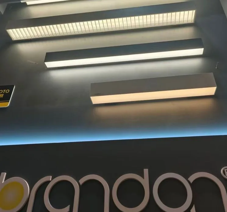 wall mounted fixture application (4)